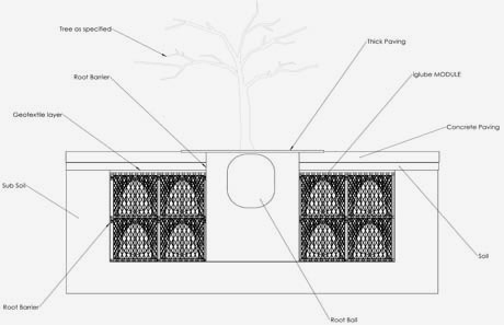 DOUBLE-TREE-PIT