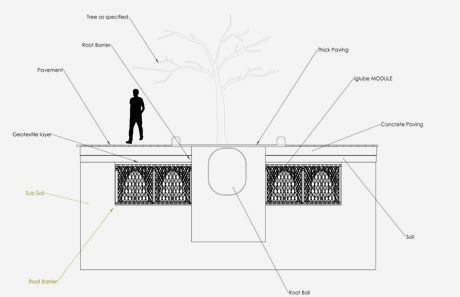 SINGLE-TREE-PIT---FOOT-TRAFFIC