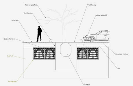 SINGLE-TREE-PIT---PARKING