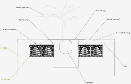 SINGLE-TREE-PIT